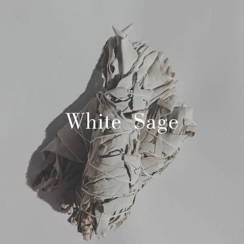 White Sage Bundle