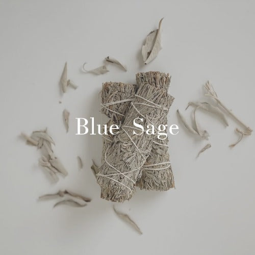 Blue Sage Bundle