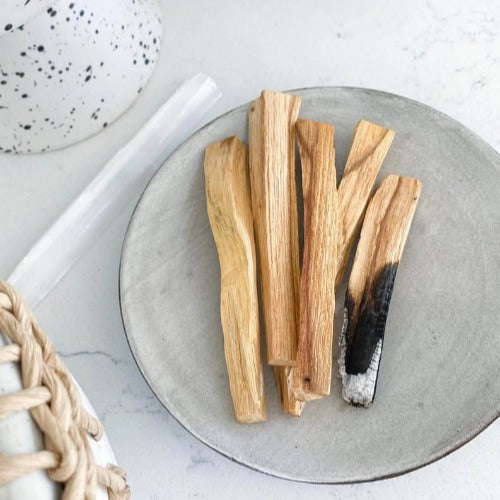 Polo Santo Sticks (12 Pack, 3-4 inch)