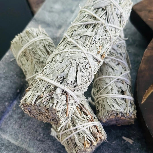 Blue Sage Bundle